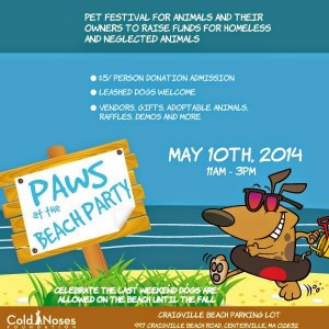 http://www.coldnosesfoundation.org/paws-at-the-beach-pet-party/
