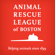 http://www.arlboston.org/brewster-shelter/
