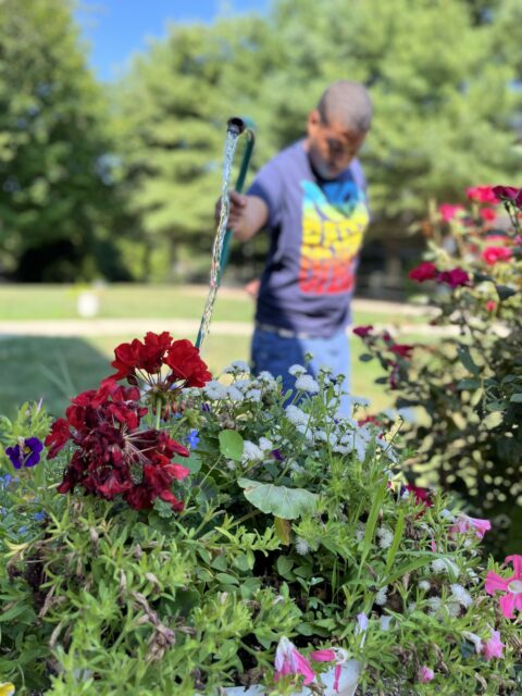 Student volunteering in the community by watering plants