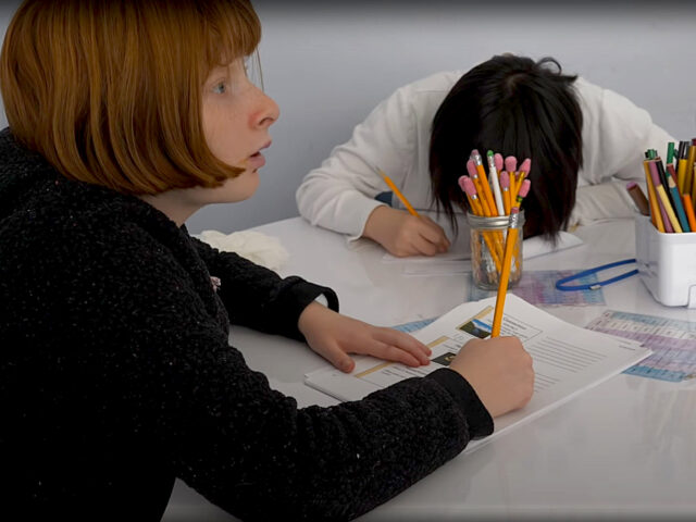 Two students doing school work