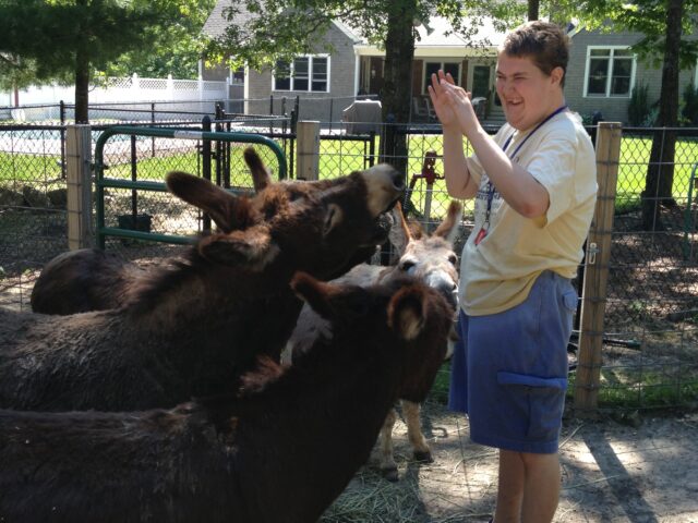 One of our adult residents hangs out with two of our six donkeys.