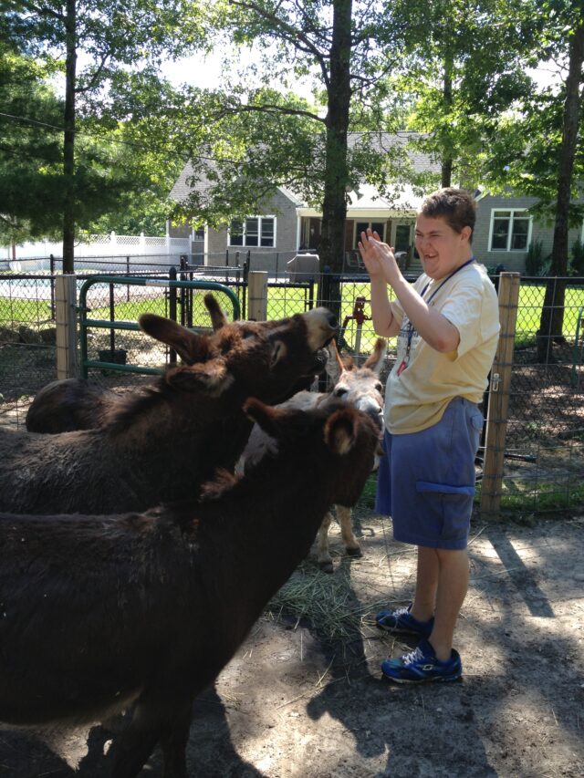 One of our adult residents hangs out with two of our six donkeys.