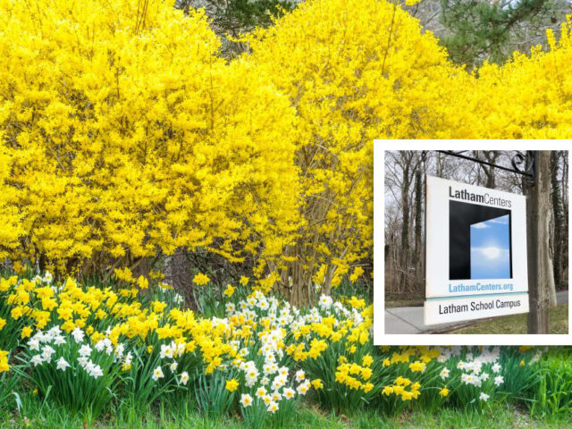 Blooming trees with Latham Sign