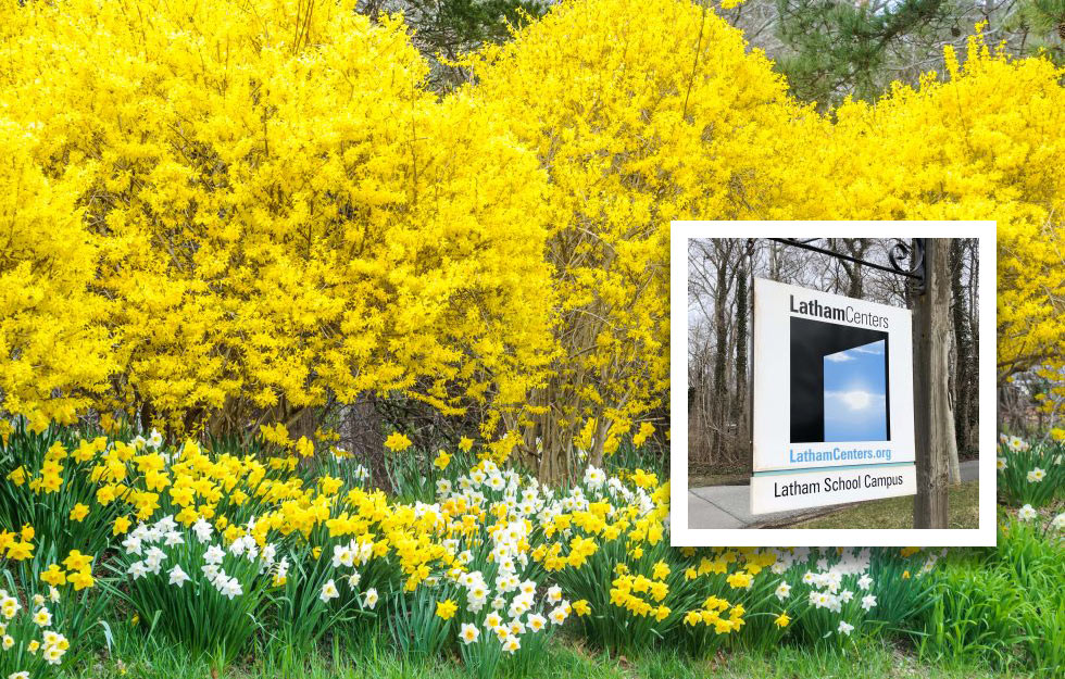 Blooming trees with Latham Sign