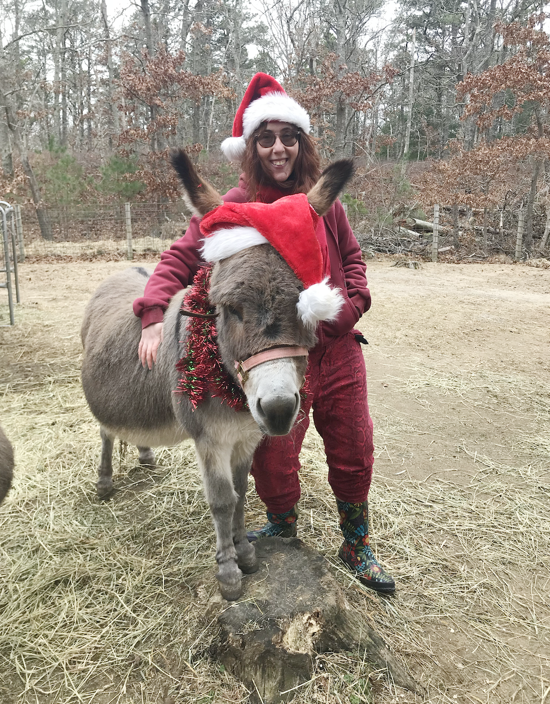 Nina and Donkey Holiday 2023