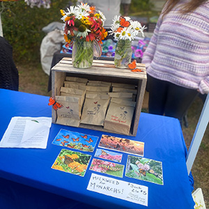 Table with blue tablecloth and packets of seeds