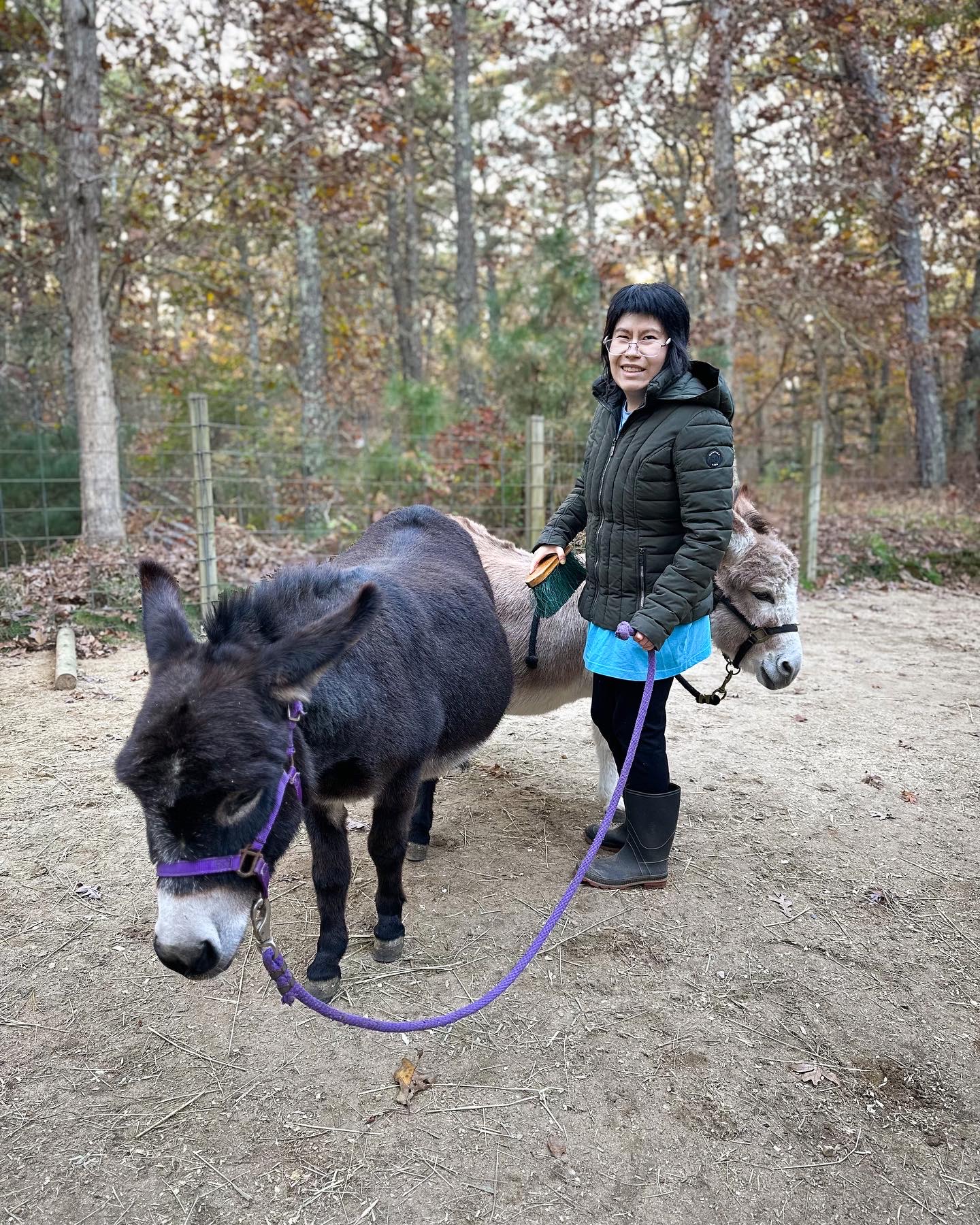 Girl standing with two donkeys